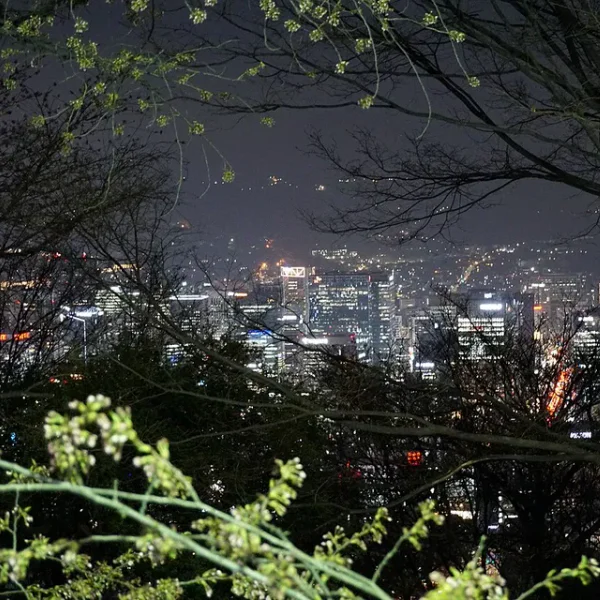 포레스트 해린하우스 홈타이 제휴업체 이미지