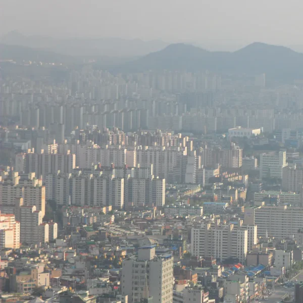 아로마 수지포레스트 마사지 제휴업체 이미지