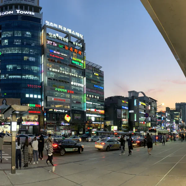 로열 아모르스튜디오 테라피 안내 이미지