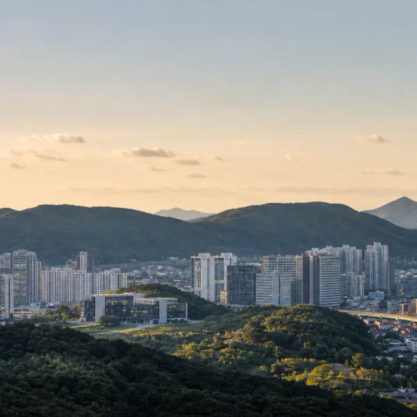 로열 수지스튜디오 홈타이 대표 안내 이미지